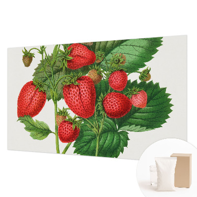 Papel mural con patrón decorativo con motivo de frutas de verano