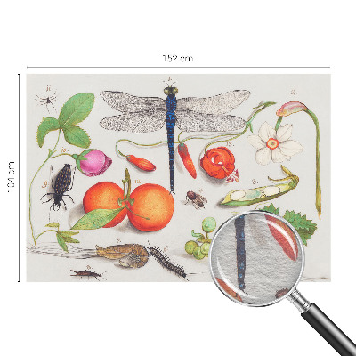 Papel mural con patrón decorativo con ilustración de motivos naturales