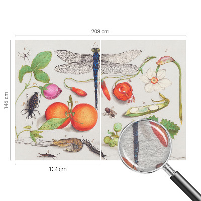 Papel mural con patrón decorativo con ilustración de motivos naturales