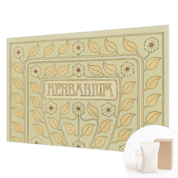 Papel mural texturado decorativo con adorno para plantas