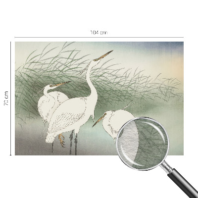 Mural decorativo con diseño de garzas entre la hierba