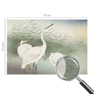 Mural decorativo con diseño de garzas entre la hierba