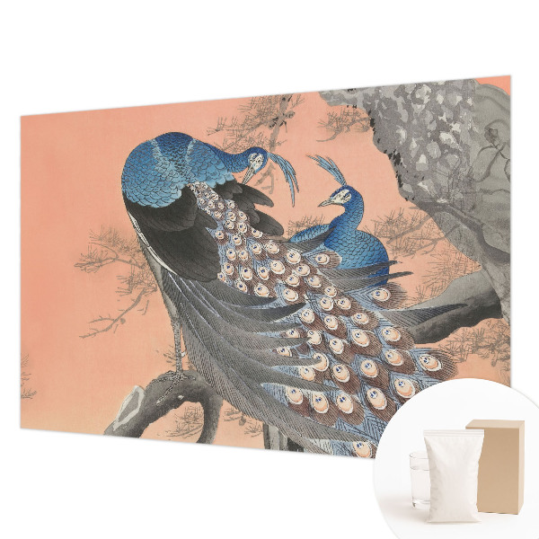 Mural de pared con estampado hermoso con motivo de pavo real elegante