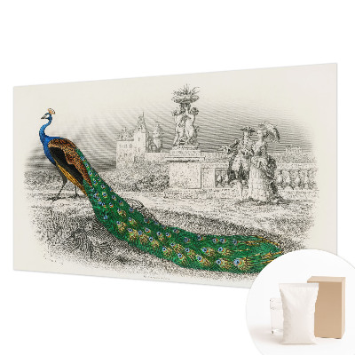 Papel mural texturado decorativo con diseño de plumas coloridas
