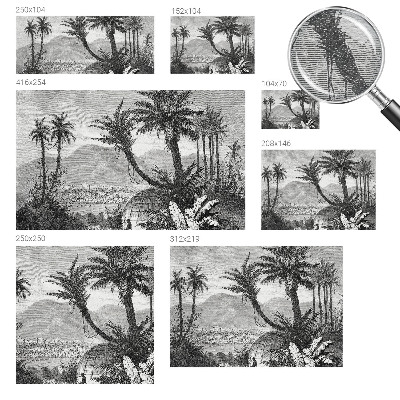 Papel mural con patrón decorativo con diseño de oasis tropical