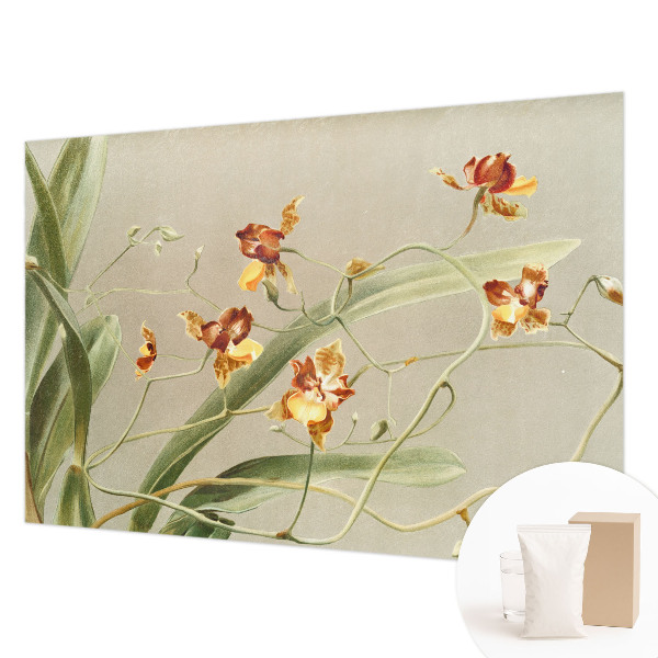 Papel mural texturado decorativo con motivo de orquídeas clásicas