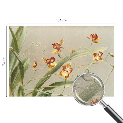 Papel mural texturado decorativo con motivo de orquídeas clásicas