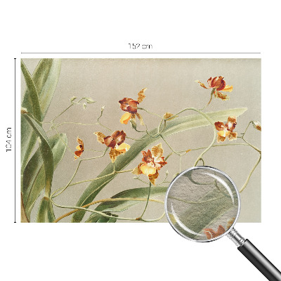 Papel mural texturado decorativo con motivo de orquídeas clásicas