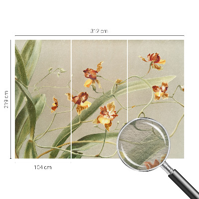 Papel mural texturado decorativo con motivo de orquídeas clásicas