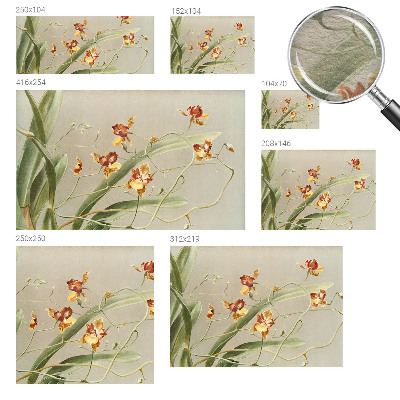 Papel mural texturado decorativo con motivo de orquídeas clásicas