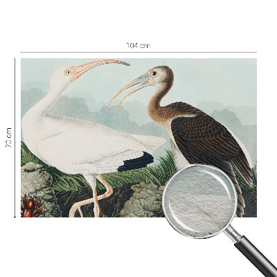 Papel mural texturado decorativo con diseño de pareja de pájaros