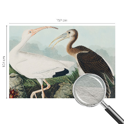 Papel mural texturado decorativo con diseño de pareja de pájaros