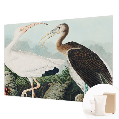 Papel mural texturado decorativo con diseño de pareja de pájaros