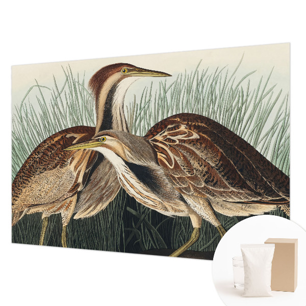 Fotomural decorativo para cabecero de cama con diseño de pájaros realistas
