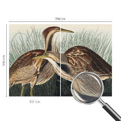 Fotomural decorativo para cabecero de cama con diseño de pájaros realistas
