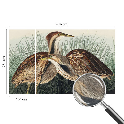 Fotomural decorativo para cabecero de cama con diseño de pájaros realistas
