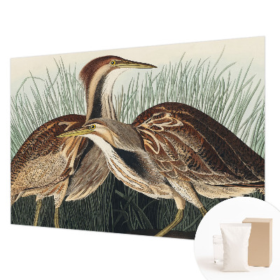 Fotomural decorativo para cabecero de cama con diseño de pájaros realistas