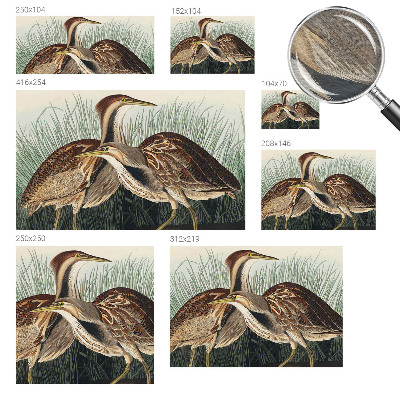 Fotomural decorativo para cabecero de cama con diseño de pájaros realistas