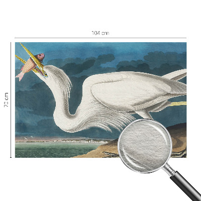 Fotomural decorativo para cabecero de cama con diseño de un pájaro sosteniendo un pez