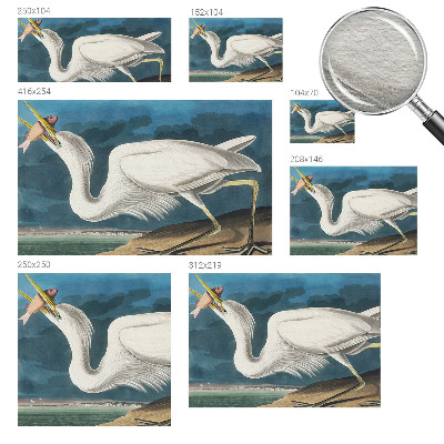 Fotomural decorativo para cabecero de cama con diseño de un pájaro sosteniendo un pez
