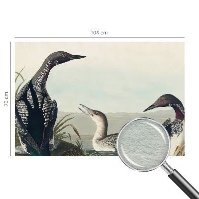 Papel mural texturado decorativo con diseño de pájaros sobre el agua