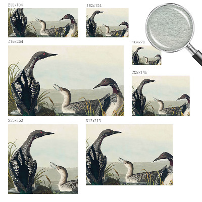 Papel mural texturado decorativo con diseño de pájaros sobre el agua