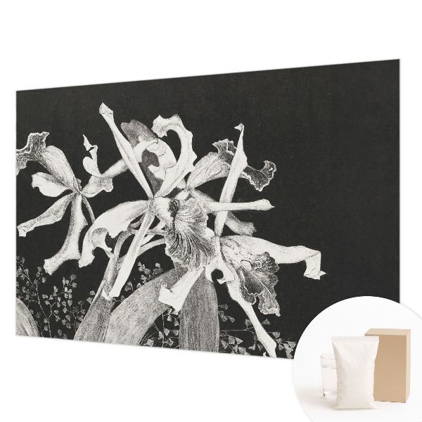 Mural decorativo con ilustración de orquídea