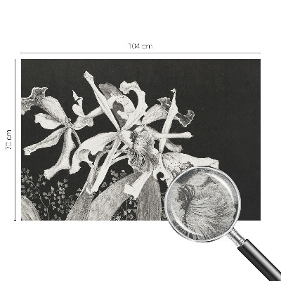 Mural decorativo con ilustración de orquídea