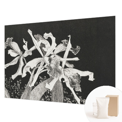 Mural decorativo con ilustración de orquídea