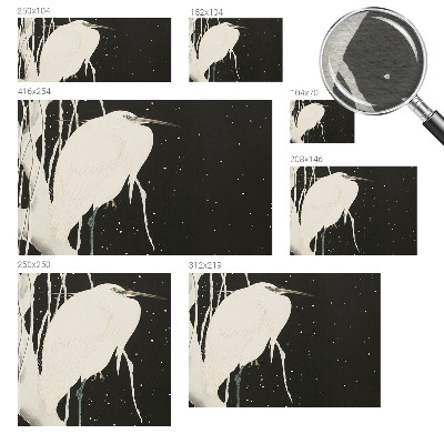 Fotomural decorativo para cabecero de cama con diseño de ave de invierno