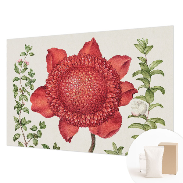 Papel mural texturado decorativo con diseño Elegancia floral para paredes