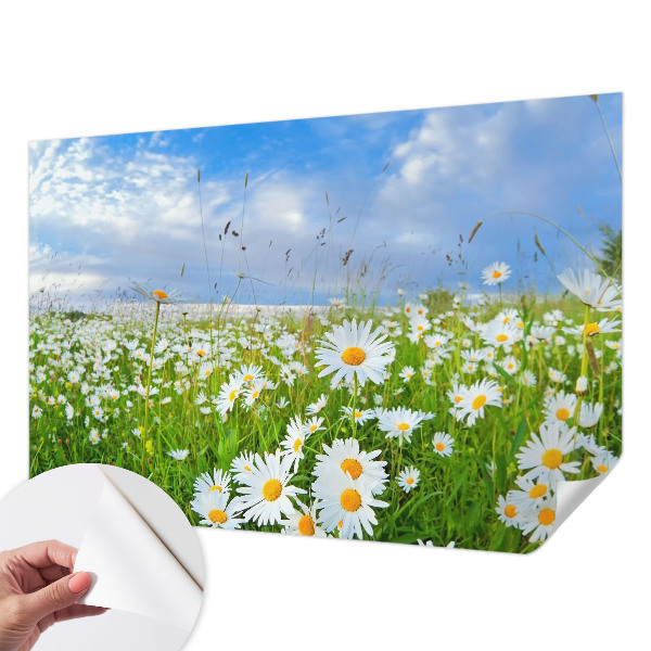 Papel mural con patrón decorativo con diseño «Pradera de verano»