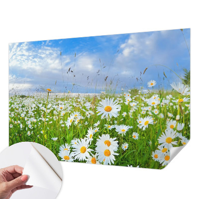 Papel mural con patrón decorativo con diseño «Pradera de verano»