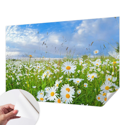 Papel mural con patrón decorativo con diseño «Pradera de verano»
