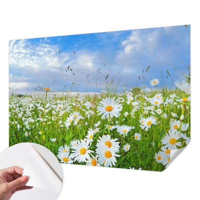 Papel mural con patrón decorativo con diseño «Pradera de verano»
