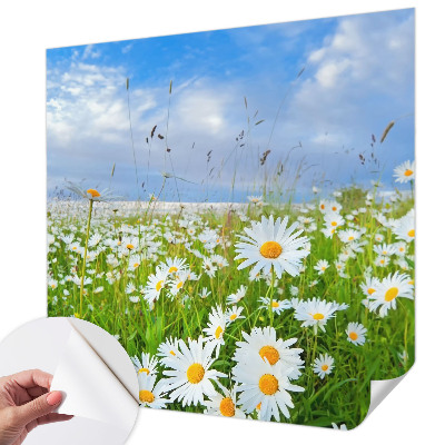 Papel mural con patrón decorativo con diseño «Pradera de verano»
