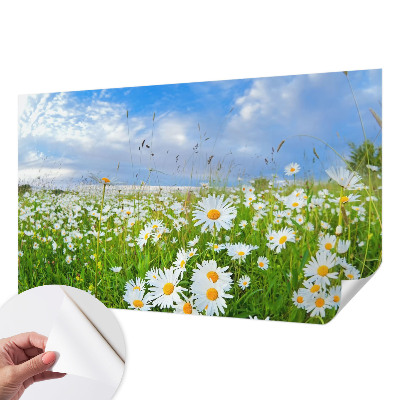 Papel mural con patrón decorativo con diseño «Pradera de verano»