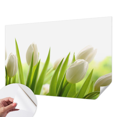Papel mural con patrón decorativo tulipanes blancos