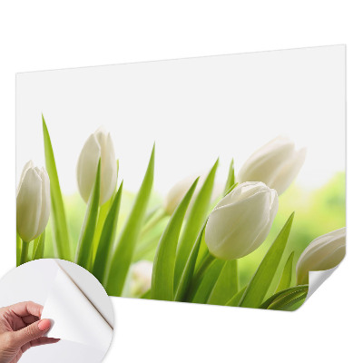 Papel mural con patrón decorativo tulipanes blancos