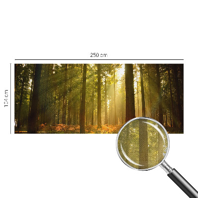 Mural de pared con estampado hermoso Mañana en el bosque