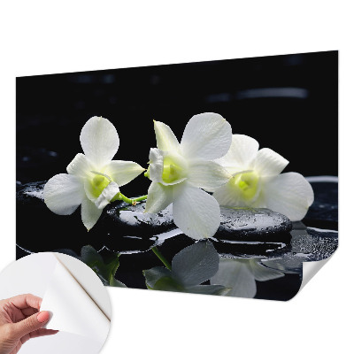 Papel mural con patrón decorativo con diseño de flores y piedras