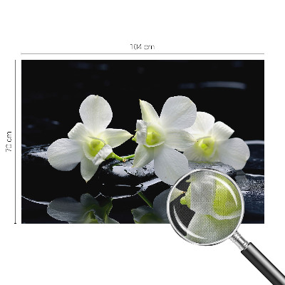 Papel mural con patrón decorativo Flores y piedras