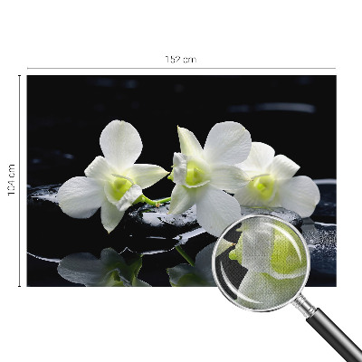 Papel mural con patrón decorativo Flores y piedras