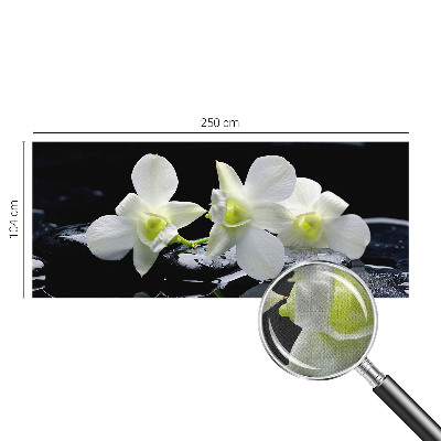 Papel mural con patrón decorativo Flores y piedras