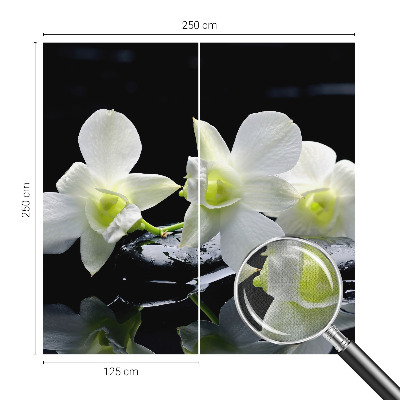 Papel mural con patrón decorativo Flores y piedras