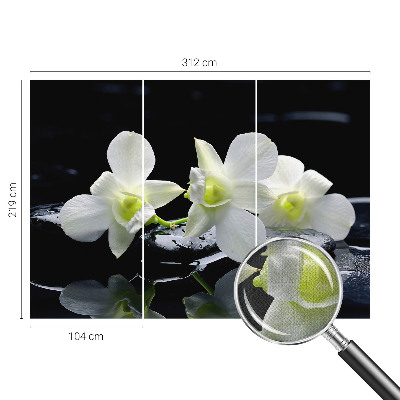 Papel mural con patrón decorativo Flores y piedras