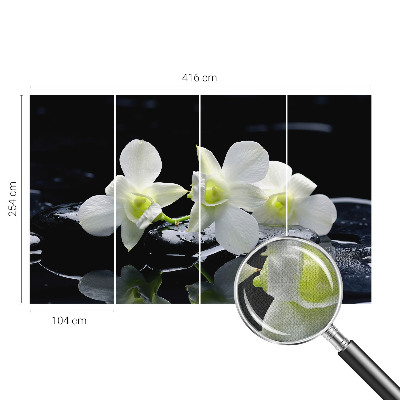 Papel mural con patrón decorativo Flores y piedras