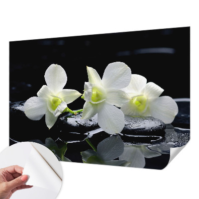 Papel mural con patrón decorativo con diseño de flores y piedras