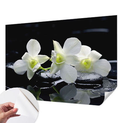Papel mural con patrón decorativo con diseño de flores y piedras
