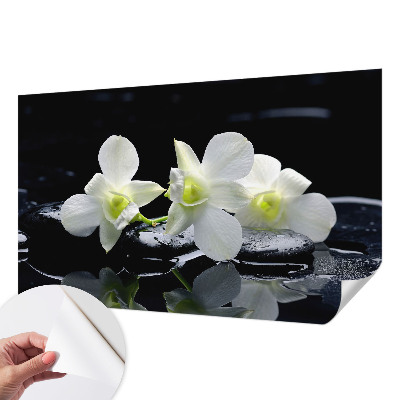 Papel mural con patrón decorativo con diseño de flores y piedras